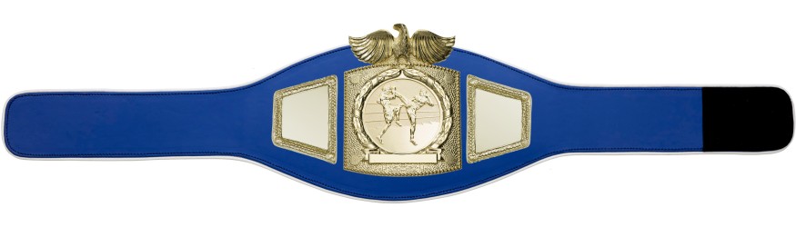PROEAGLE THAI BOXING CHAMPIONSHIP BELT - PROEAGLE/G/TBOG - AVAILABLE IN 6+ COLOURS PROEAGLE THAI BOXING CHAMPIONSHIP BELT - PROEAGLE/G/TBOG - AVAILABLE IN 6+ COLOURS